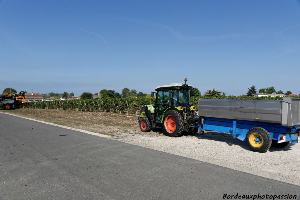 Les 42 hectares de vignes ont été rachetée en 1996 par Groupama. 